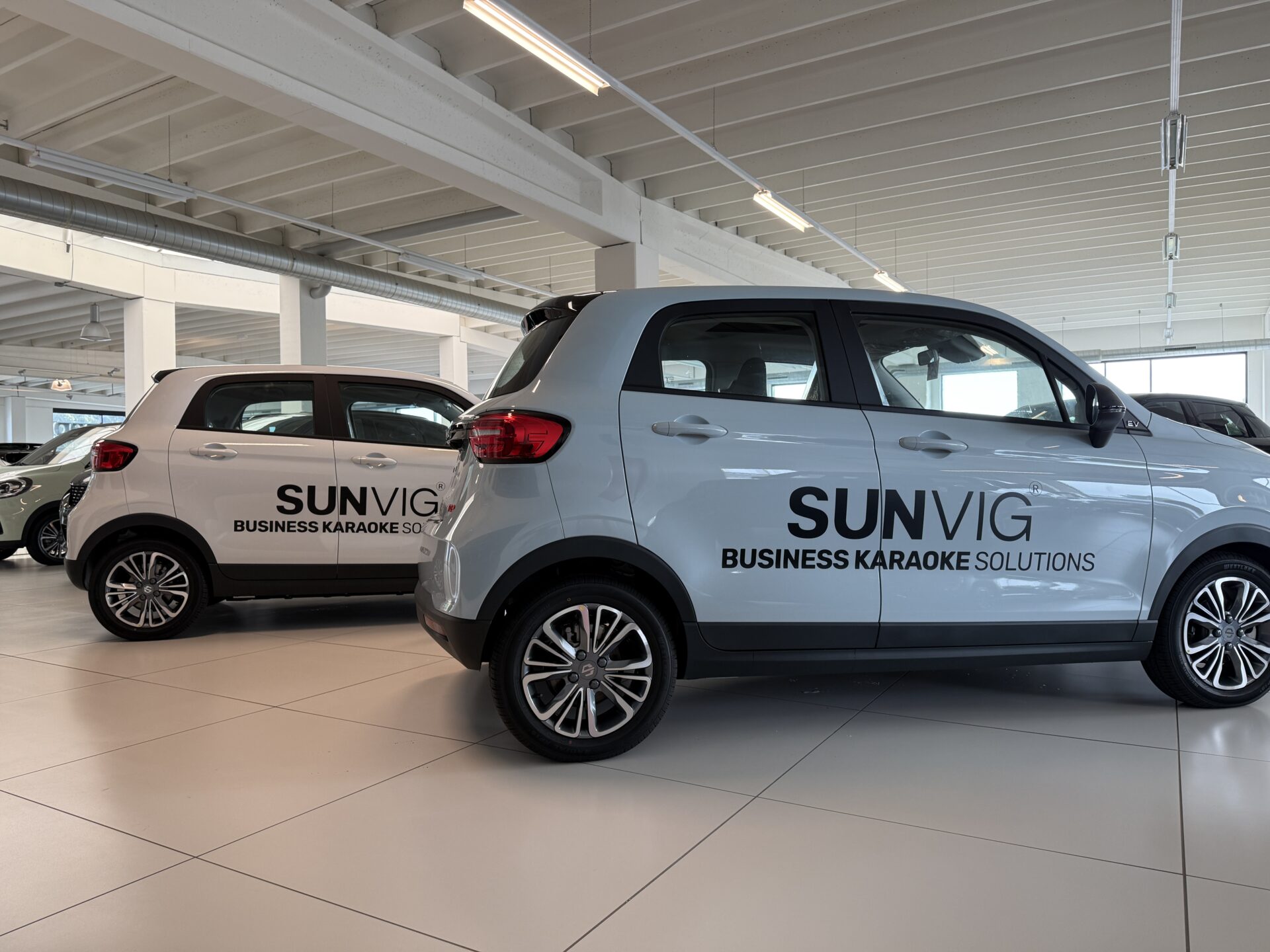 Autoreclame & Belettering voorbeeld